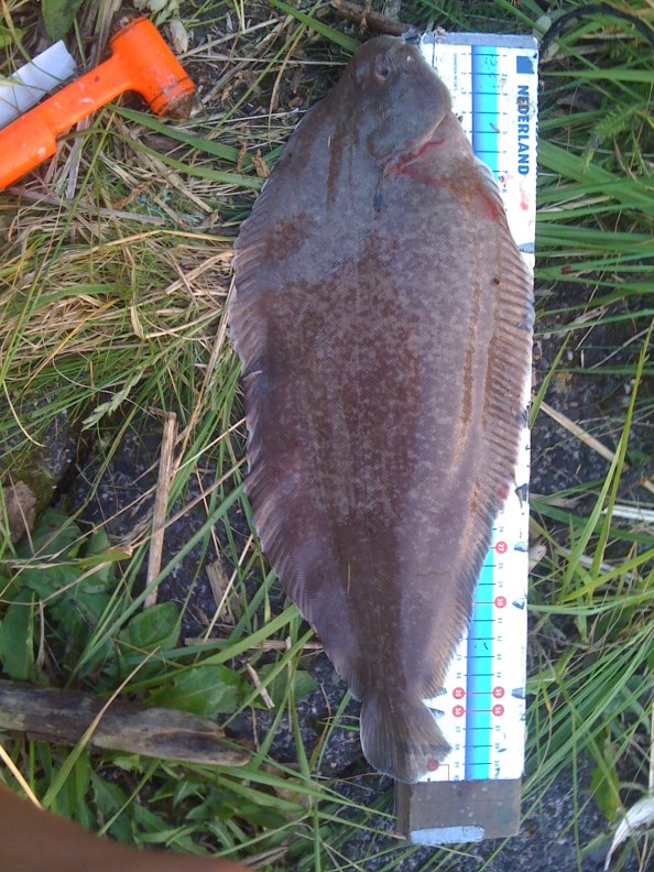 Gelukkig heb ik een pan waar-ie mooi in past.