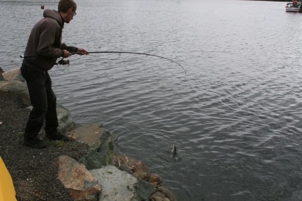 Ja ja, deze blijft wél hangen