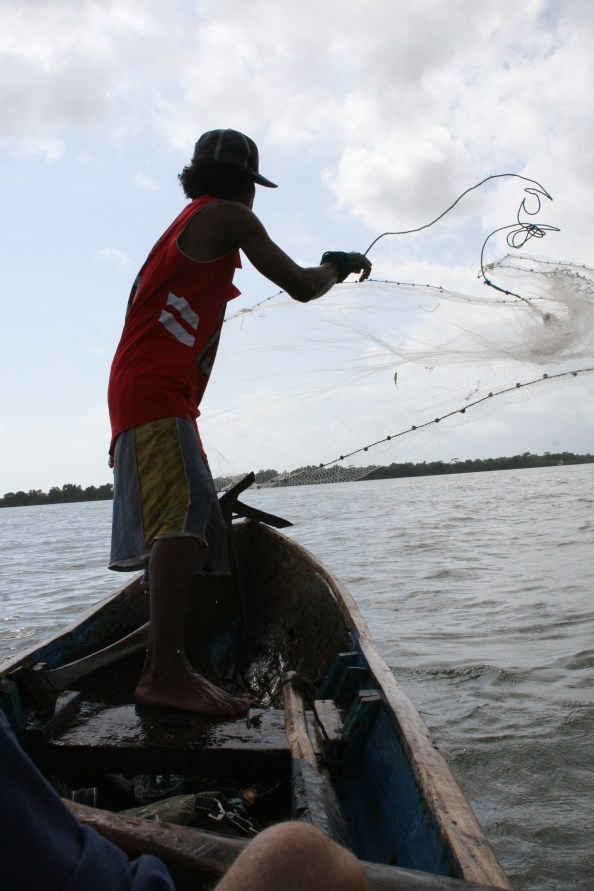 Aasvis vangen met het werpnet