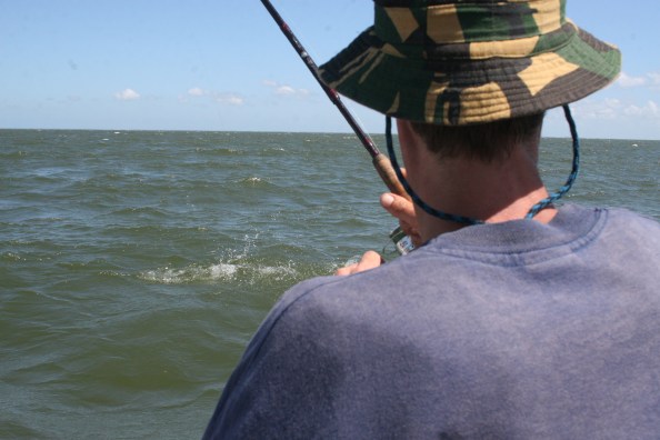 De Snook die losschoot