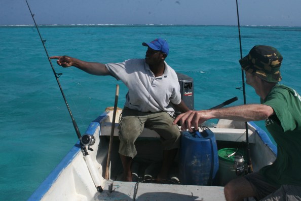 Uitkijken over het rif