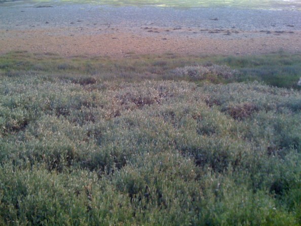 Cap Coz bodem van de baai kleuren IMG_1721