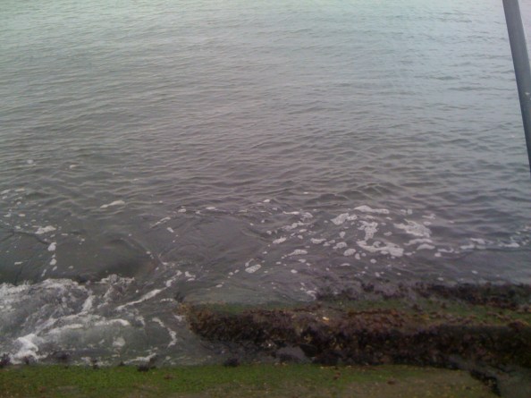 D'r was weinig te zien....