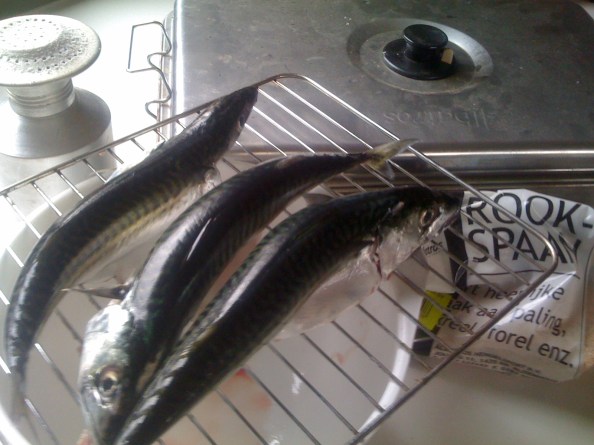 Klaar voor het vervolg!