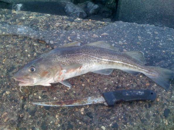 De grootste van vandaag