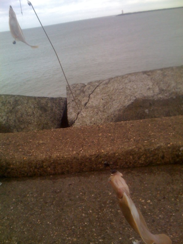 Eerste doubletje scharren