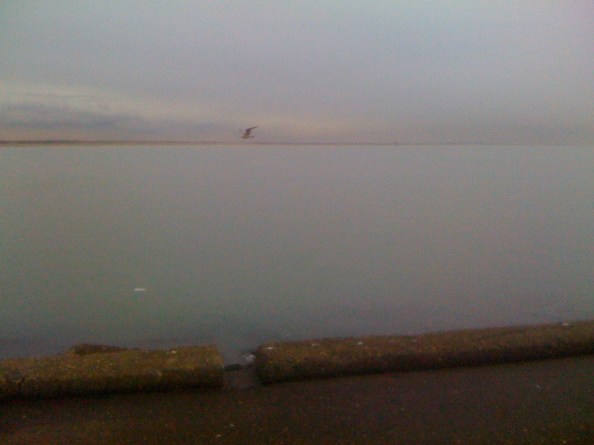 platterdeplat met mooie kleur