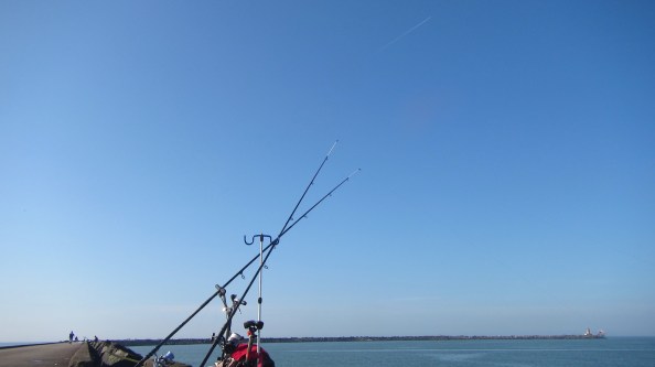 de toppen bleven roerloos