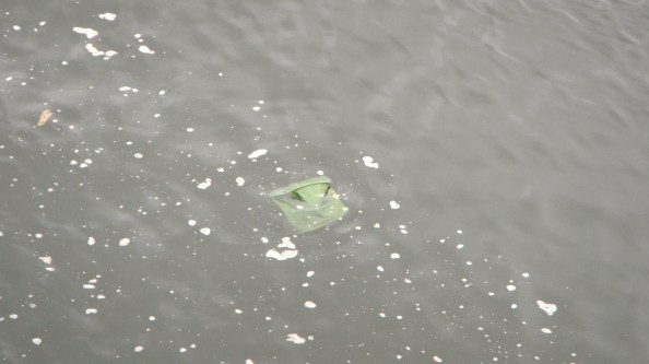 me emmertje me emmertje