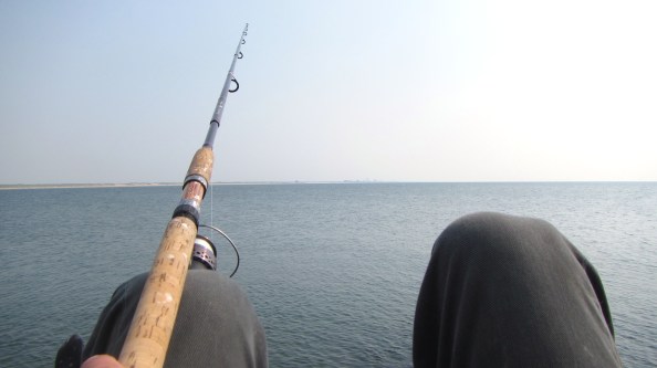 IMG_0304 the day after..2