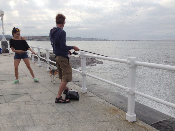 Spetters van de zee ontwijken en met je been een hongerige hond afweren.