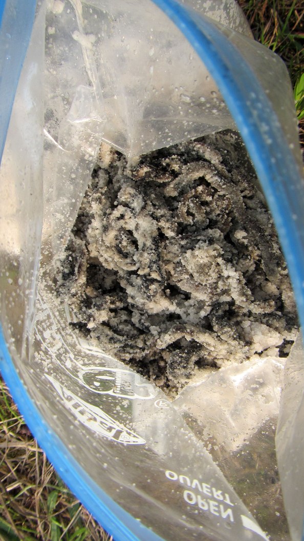 zoute-pieren-IMG_0757