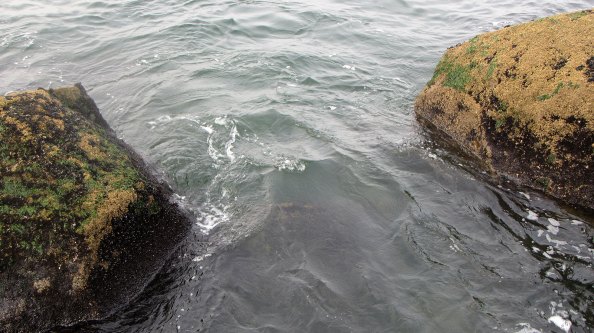 IMG_0863-mooi-plekkie