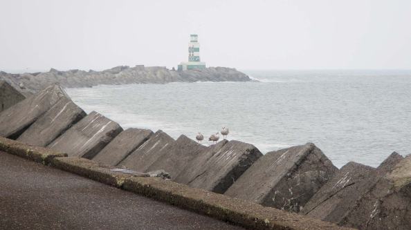 IMG_0991-wachtend-op-een-maaltje