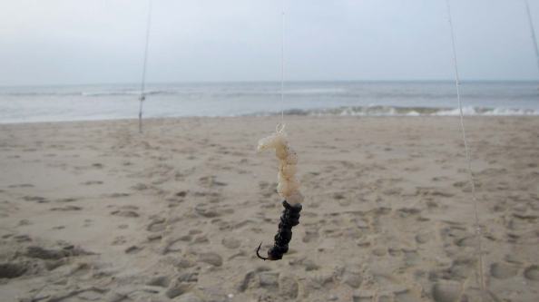 IMG_1020-mesheft-en-tap