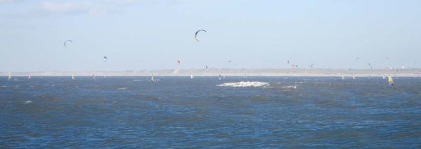 ook-veel-bij-WIjk-aan-Zee