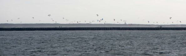 veel-surfers-ook-bij-de-Zuidpier