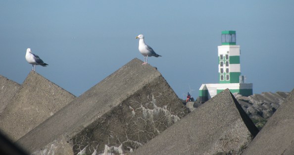 Foto Jacques de Gruijter