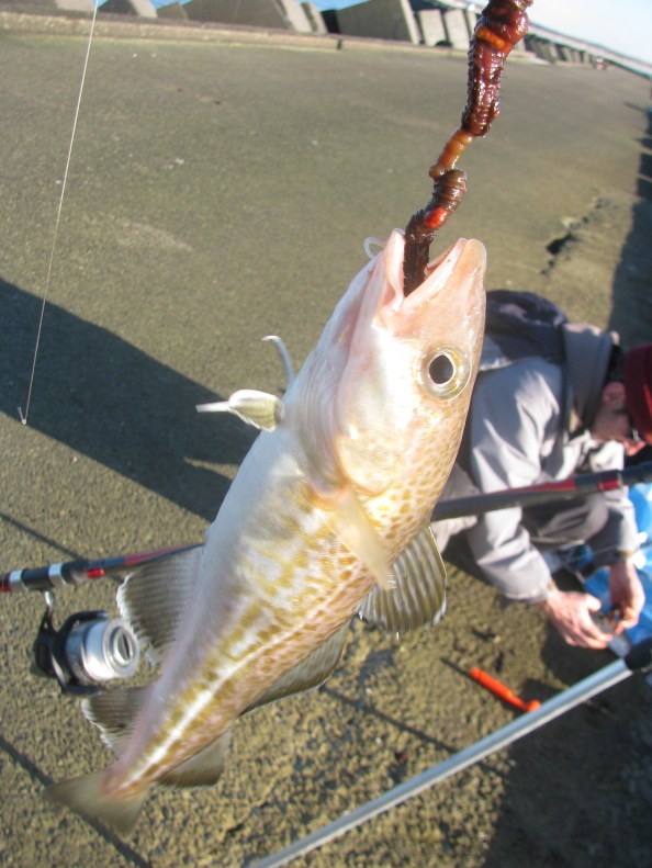 Foto Jacques de Gruijter