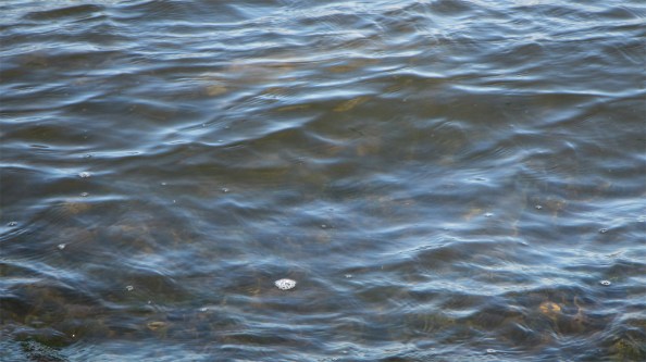 IMG_1487-polaroid-foto