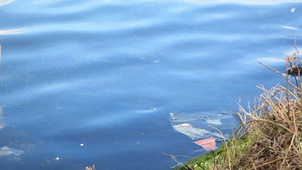 mvi1492-24fps-piks-0024