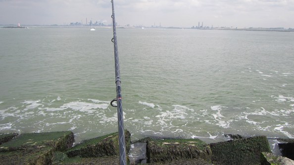 Ook-groen-bij-de-kop