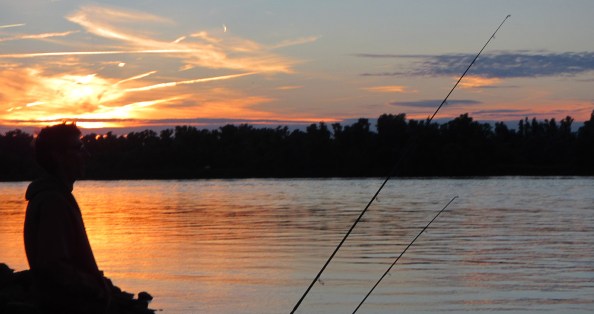 de-zon-deed-z'n-best