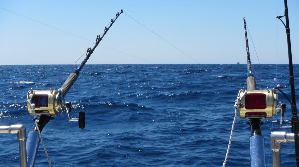 IMG_1637-woelige-eerste-dag