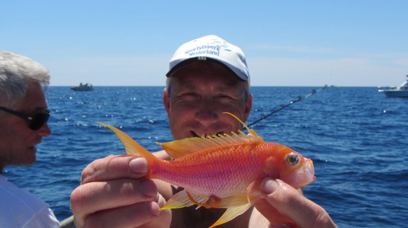 IMG_1670-eelco-vlagbaars