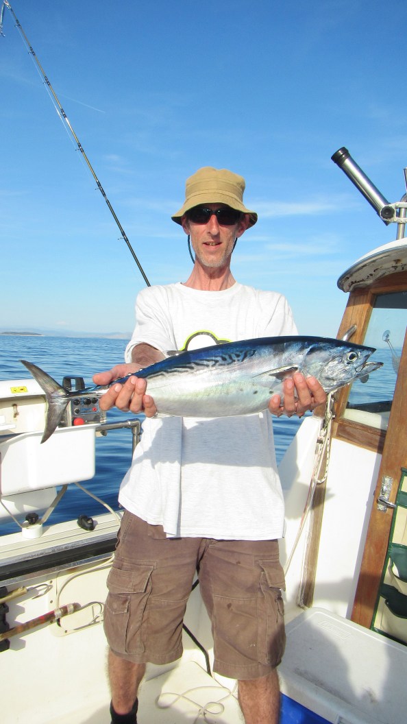 IMG_1698Little-Tunny