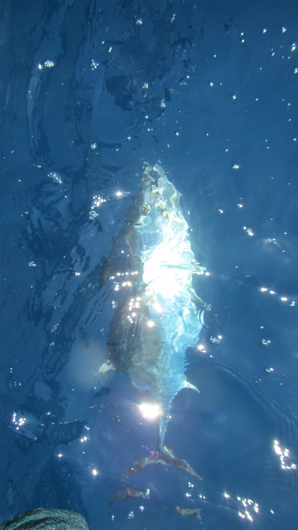 IMG_1723-even-versuft