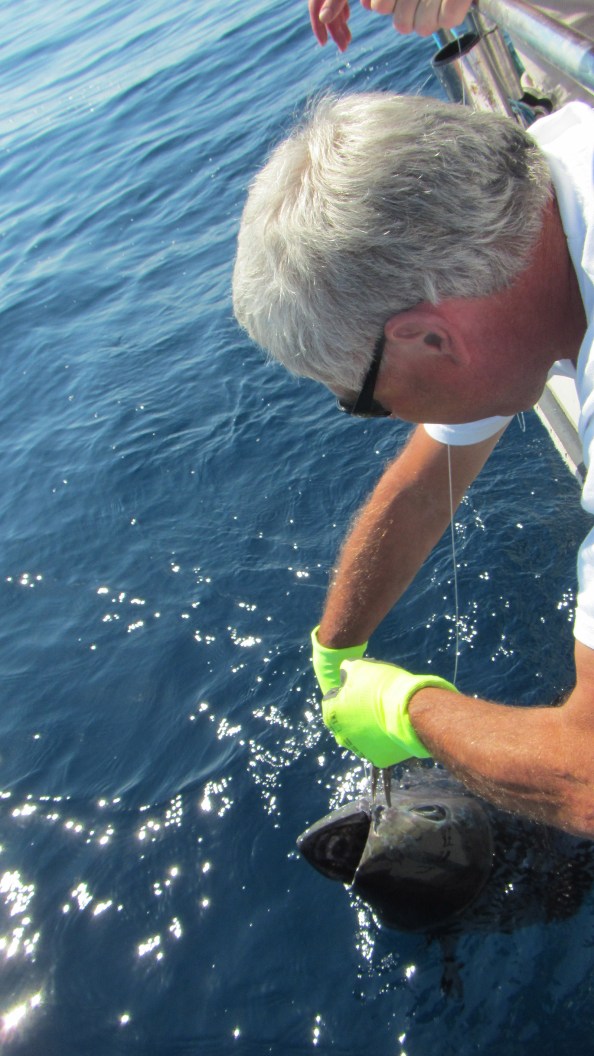 IMG_1736-LEx-haalt-de-haak-uit-het-scharnier