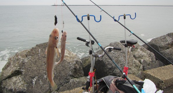 twee-wijtinkjes-IMG_2045