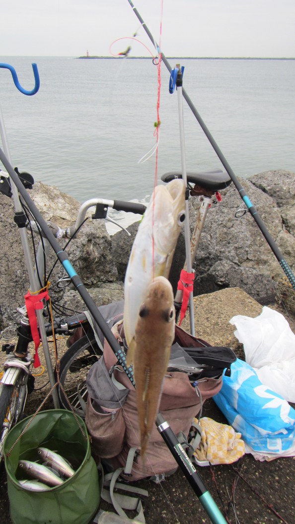 weer-twee-voor-in-het-emmertje-IMG_2051