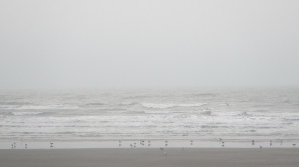 grauwe-grijzigheid,-geen-regen,-maar-wel-natte-lucht