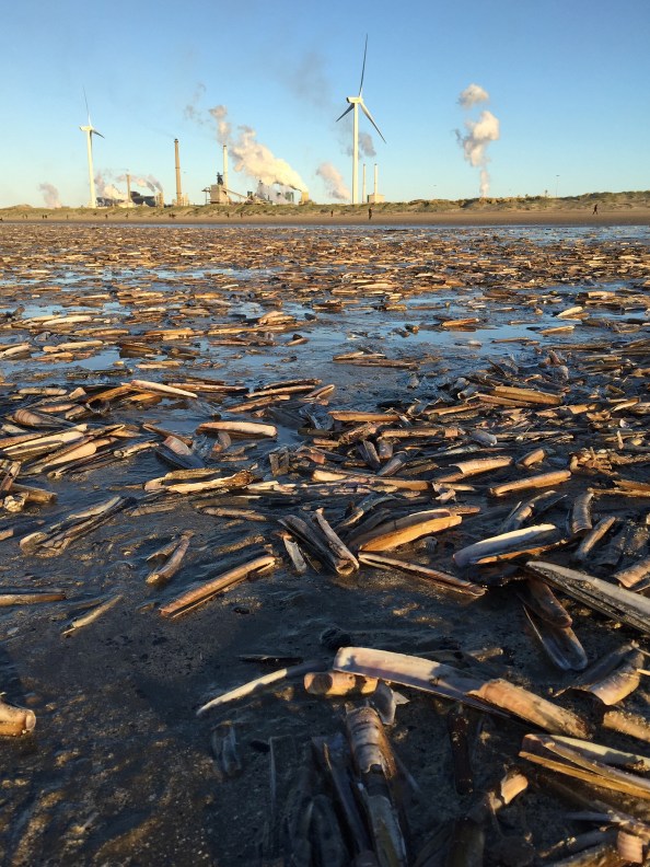mesheften-op-het-strand