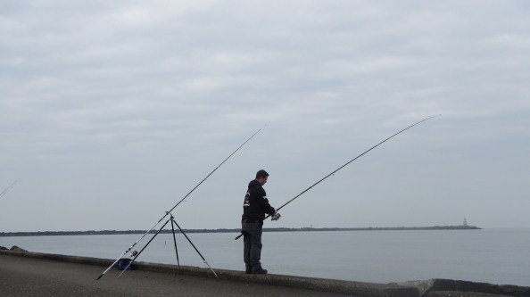 Bas-wint-met-114-vissen