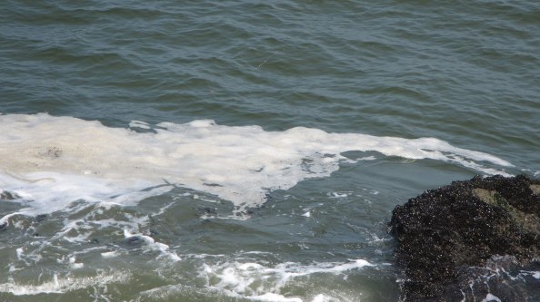 Net-voor-de-schuimrand