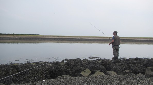 IMG_2436-waar-zijn-ze-