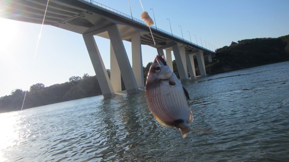 IMG_2519-zeebrasempje-brug-milfontes