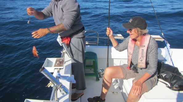 IMG_2607-petra-grouper