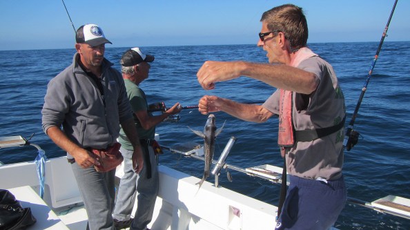 IMG_2610-welke-soort-is-dit