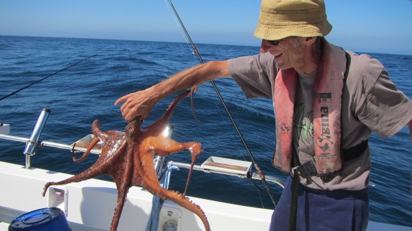 IMG_2625-octopus-marc