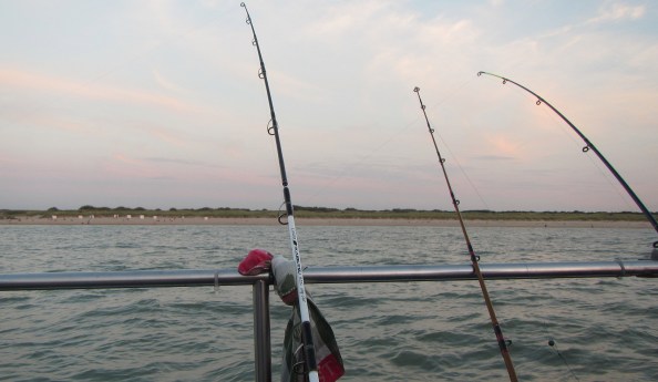 met-uitzicht-op-het-strand