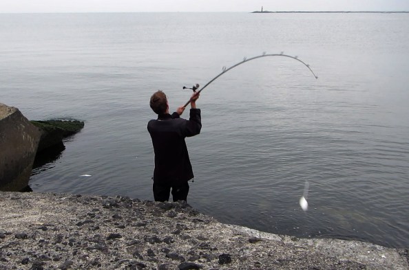 mvi_2887-233-spinhengel