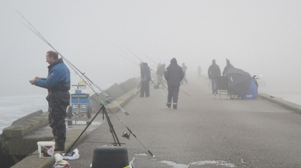 img_3266-mist-rechts