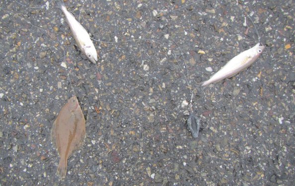 img_3269-tripple-vloer